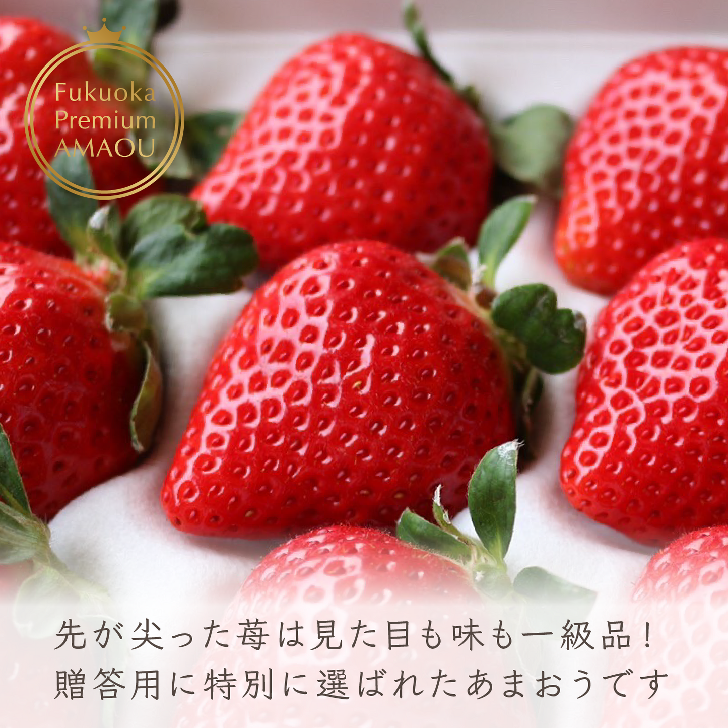 福岡産直 あまおう 430g✕1箱(化粧箱 特選5Lサイズ×9玉)【送料無料】