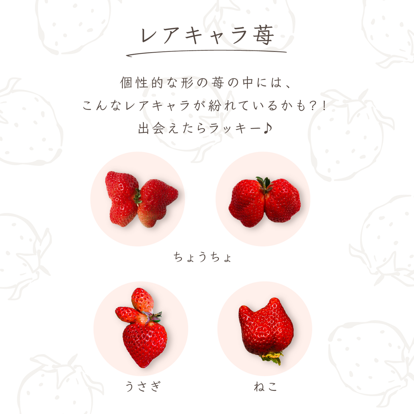 福岡産直 あまおう 250g✕4パック(家庭用アソートサイズ 平パック 6~12玉)【送料無料】