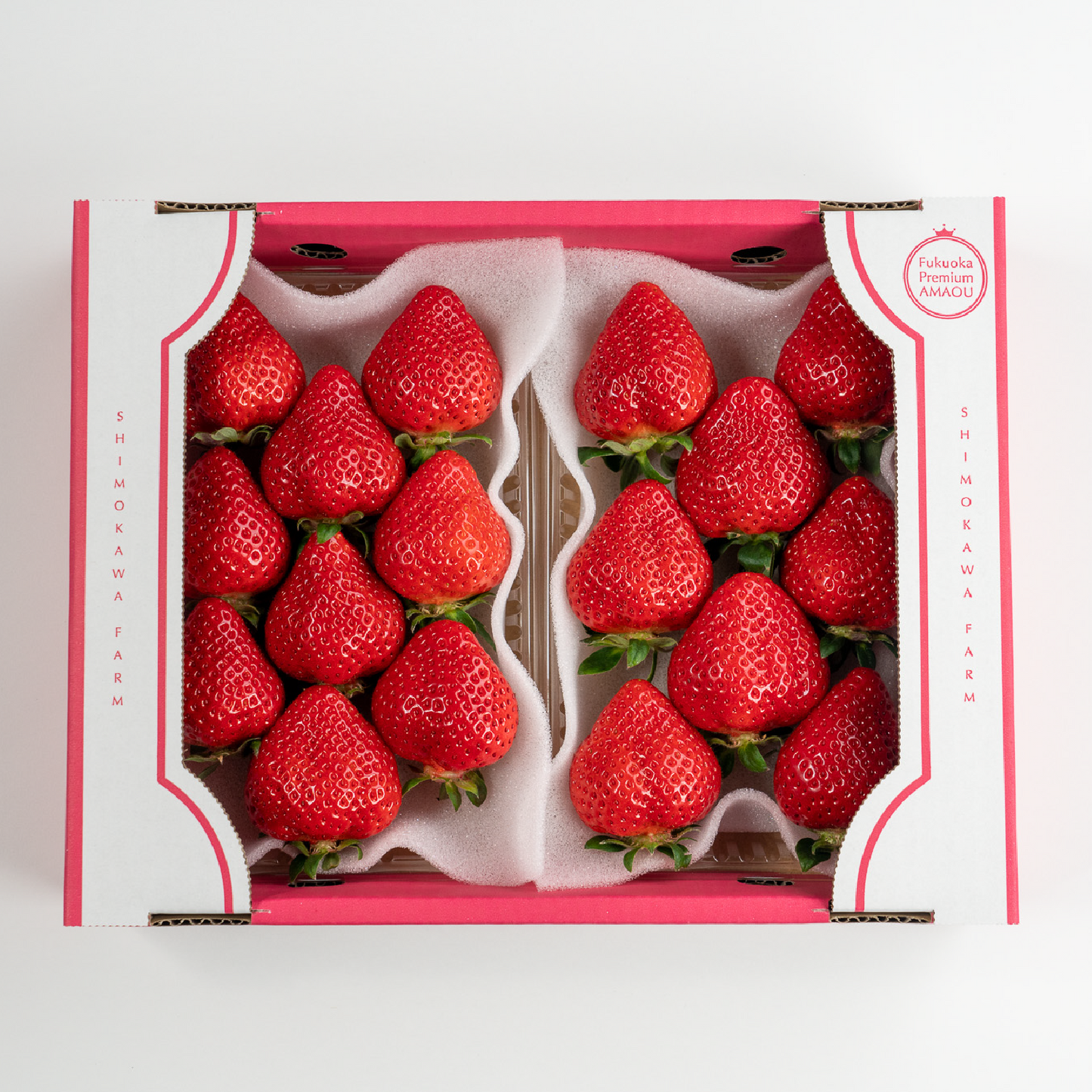 福岡産直 あまおう 250g✕2パック(平パック 6~12玉)【送料無料】