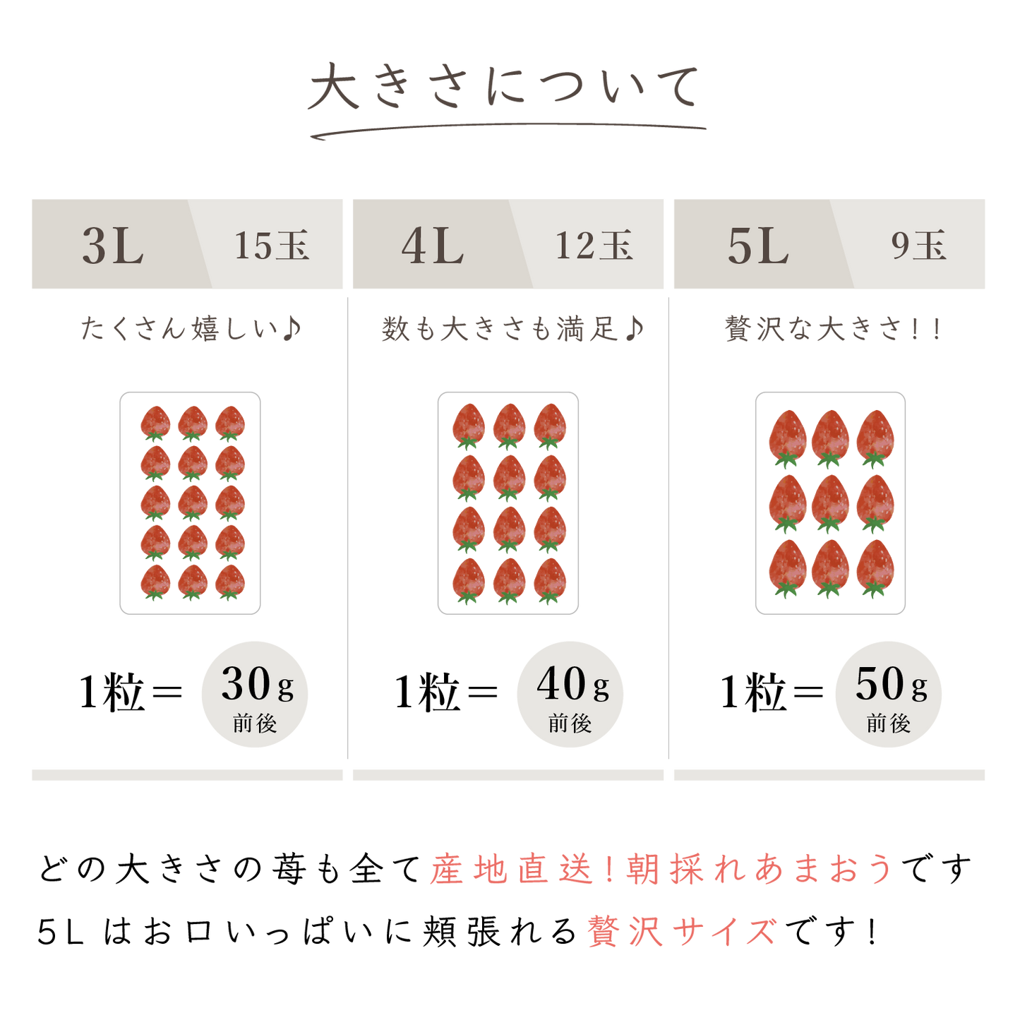 福岡産直 あまおう 250g✕4パック(平パック 6~12玉)【送料無料】