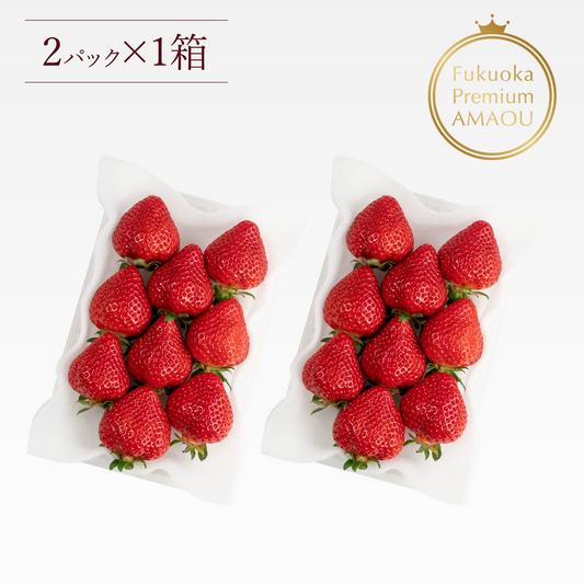 福岡産直 あまおう 250g✕2パック(平パック 6~12玉)【送料無料】