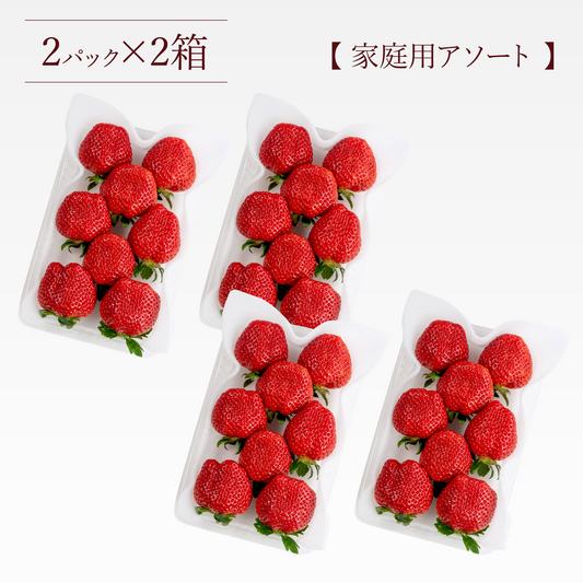 福岡産直 あまおう 250g✕4パック(家庭用アソートサイズ 平パック 6~12玉)【送料無料】