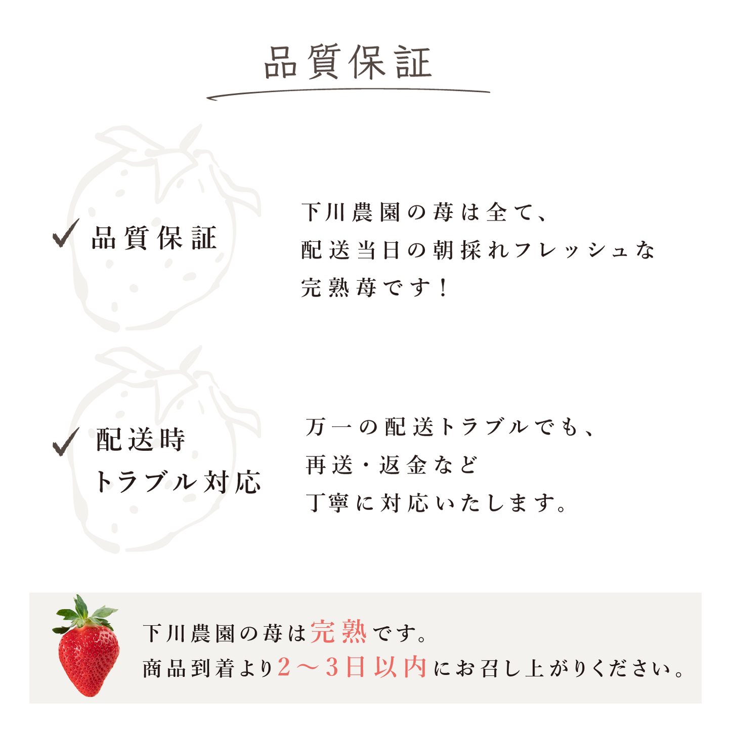 福岡産直 あまおう 250g✕4パック(家庭用アソートサイズ 平パック 6~12玉)【送料無料】