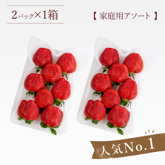 福岡産直 あまおう 250g✕2パック(家庭用アソートサイズ 平パック 6~12玉)【送料無料】