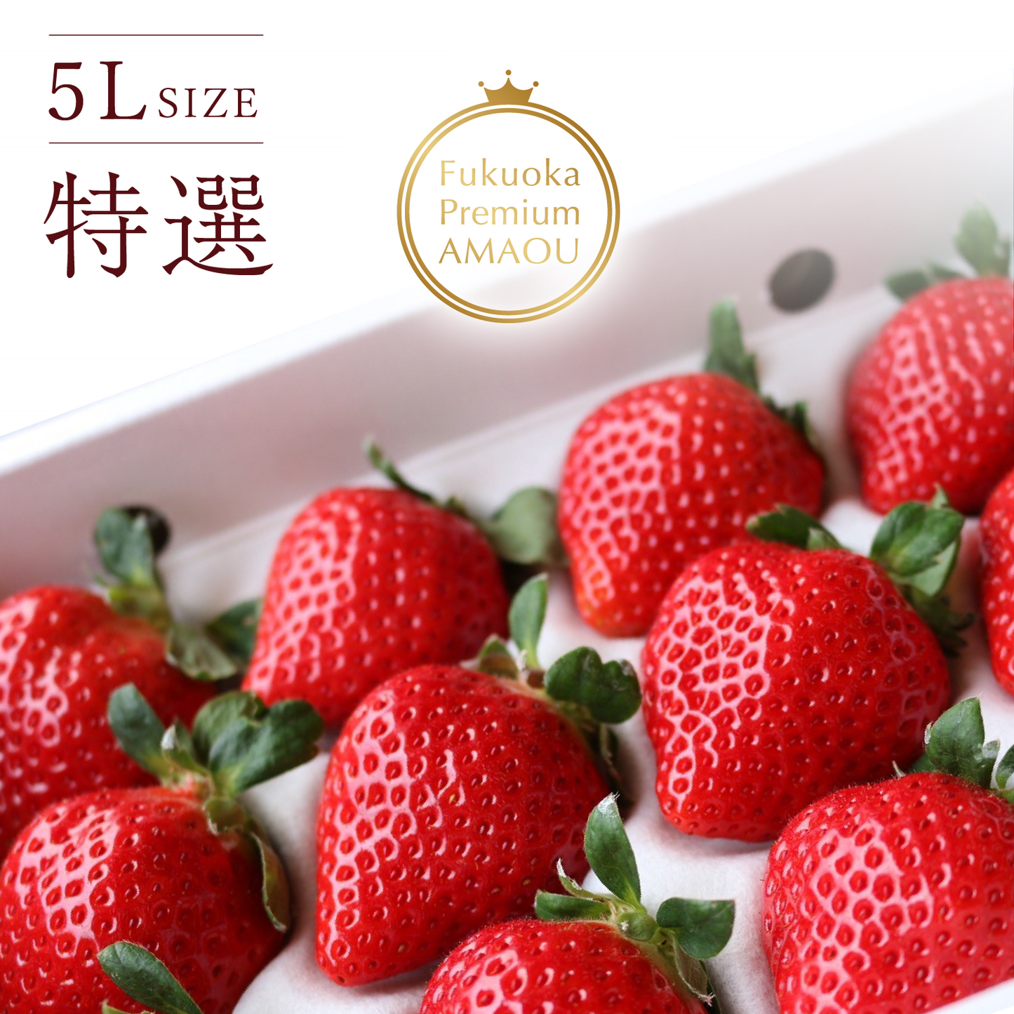 福岡産直 あまおう 430g✕1箱(化粧箱 特選5Lサイズ×9玉)【送料無料】