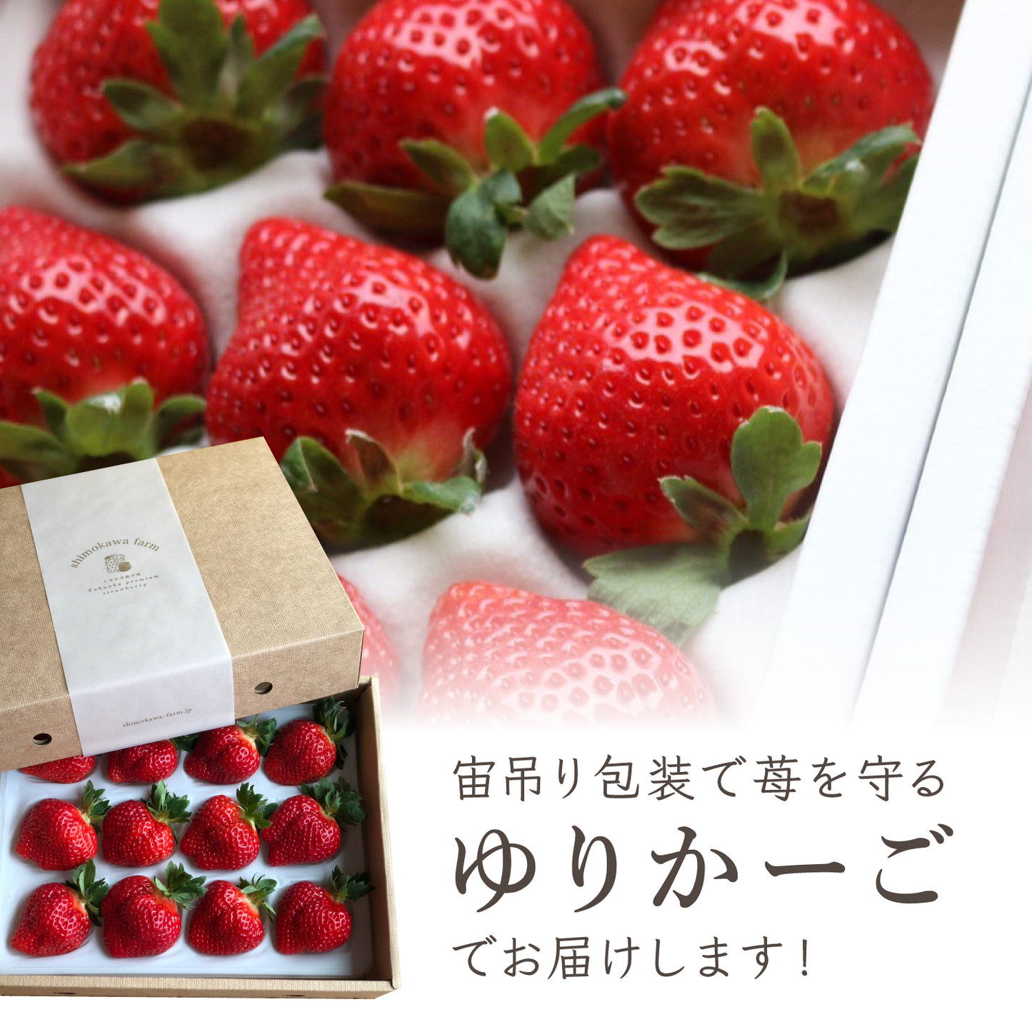 福岡産直 あまおう 430g✕1箱(化粧箱 アソート4Lサイズ×12玉)【送料無料】