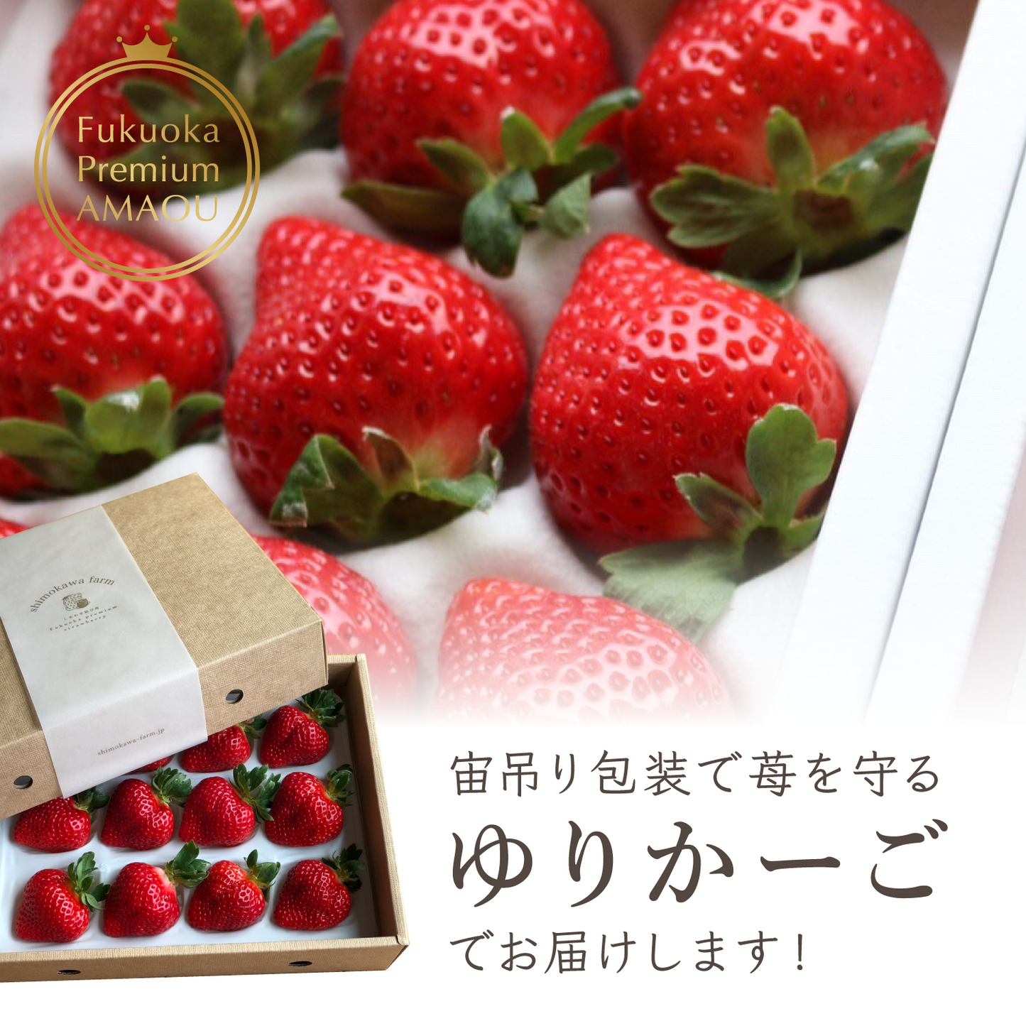 福岡産直 あまおう 430g✕1箱(化粧箱 特選4Lサイズ×12玉)【送料無料】