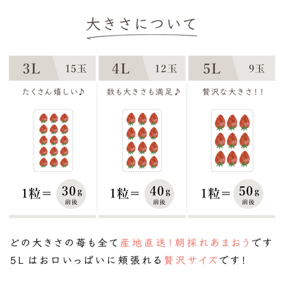 福岡産直 あまおう 430ｇ✕1箱（化粧箱 アソート4Lサイズ×12玉）【送料無料】