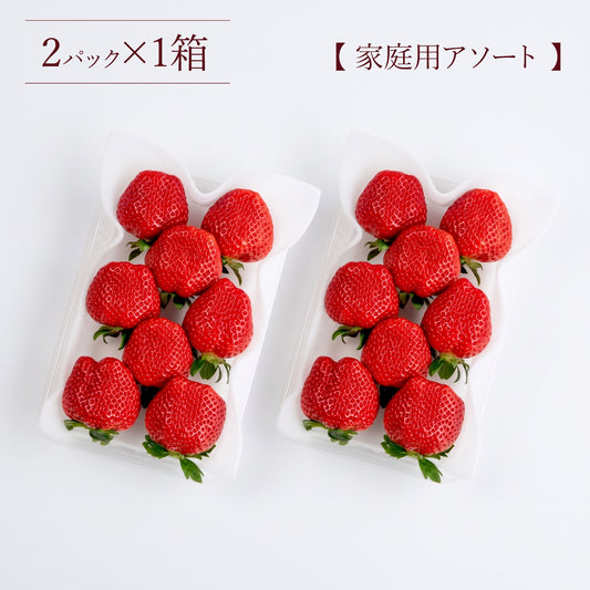 福岡産直 完熟あまおう 2５0ｇ×2パック（平パック 6~12玉）