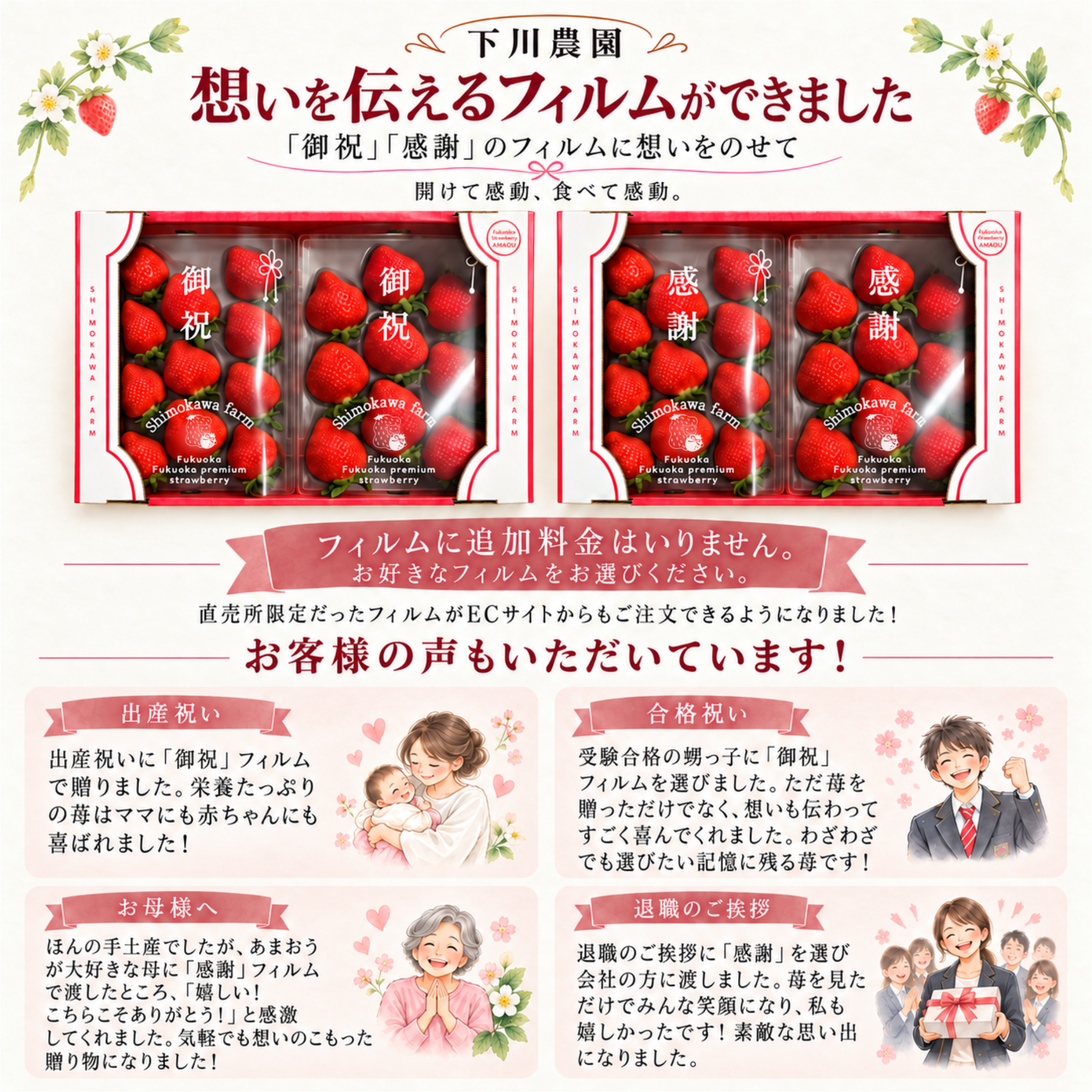 福岡産直 完熟あまおう 2５0ｇ×2パック（平パック 6~12玉）