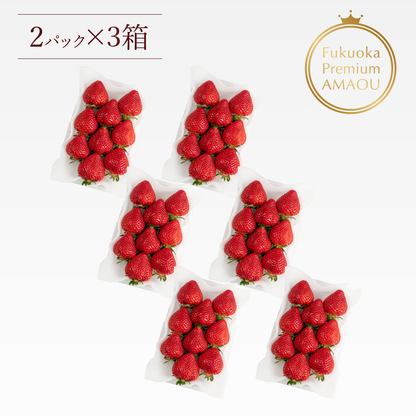 福岡産直 完熟あまおう 2５0ｇ×6パック（特選 6~12玉）